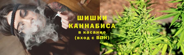 бошки Дмитриев