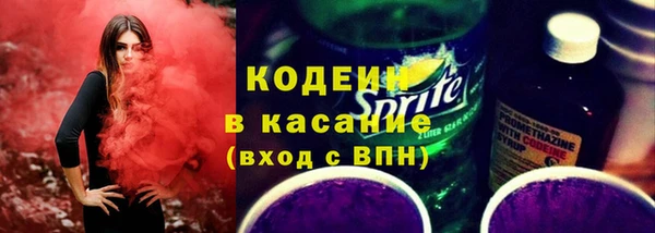 сатива Дмитровск