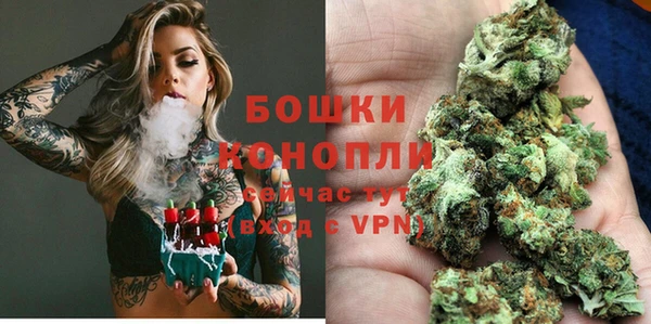 бошки Дмитриев