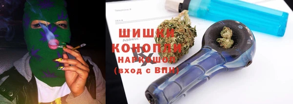 сатива Дмитровск
