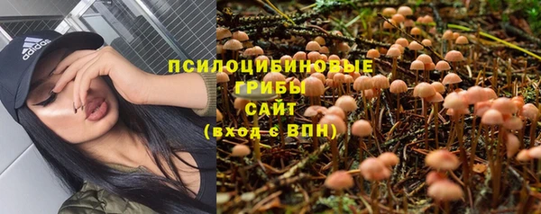 бошки Дмитриев