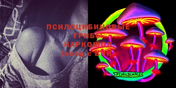 бошки Дмитриев