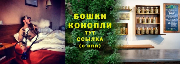 сатива Дмитровск