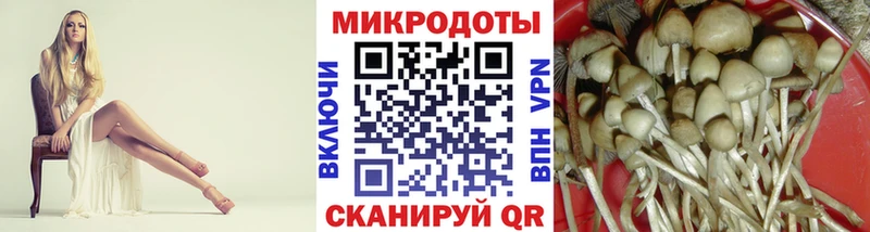 Купить закладки  Моршанск  Галлюциногенные грибы ЛСД 