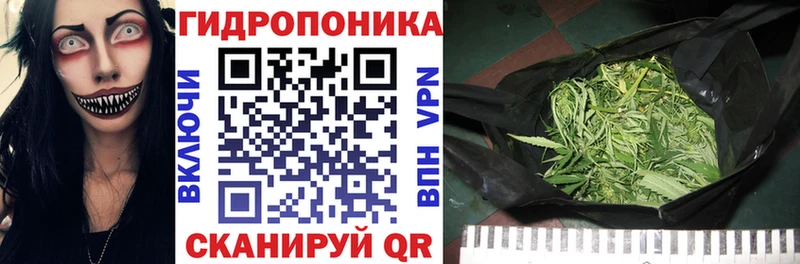 Купить где  Моршанск  Конопля гибрид 